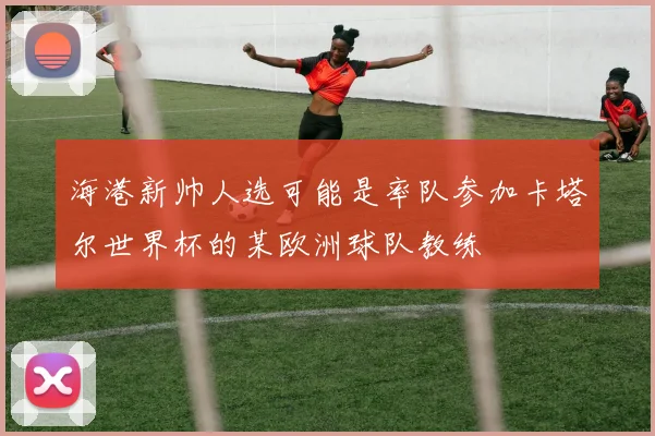 海港新帅人选可能是率队参加卡塔尔世界杯的某欧洲球队教练