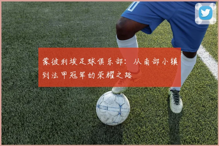 蒙彼利埃足球俱乐部：从南部小镇到法甲冠军的荣耀之路