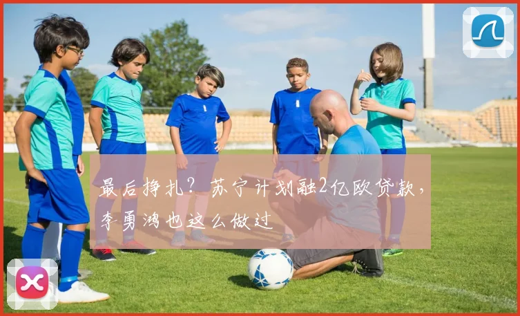 最后挣扎？苏宁计划融2亿欧贷款，李勇鸿也这么做过